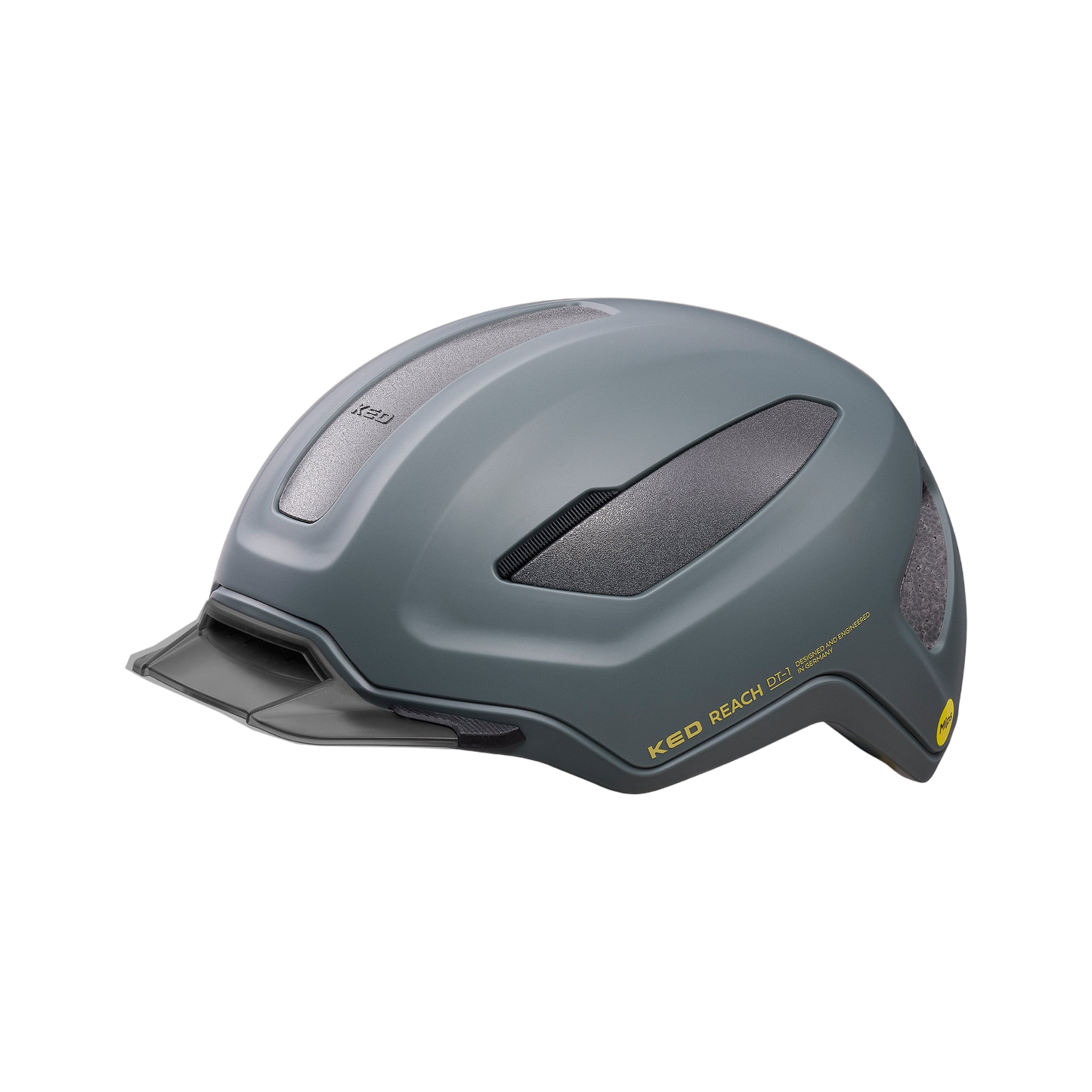 REACH DT1 - grey golden yellow