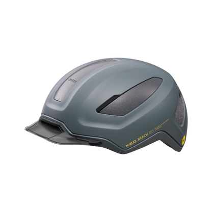 REACH DT1 - grey golden yellow