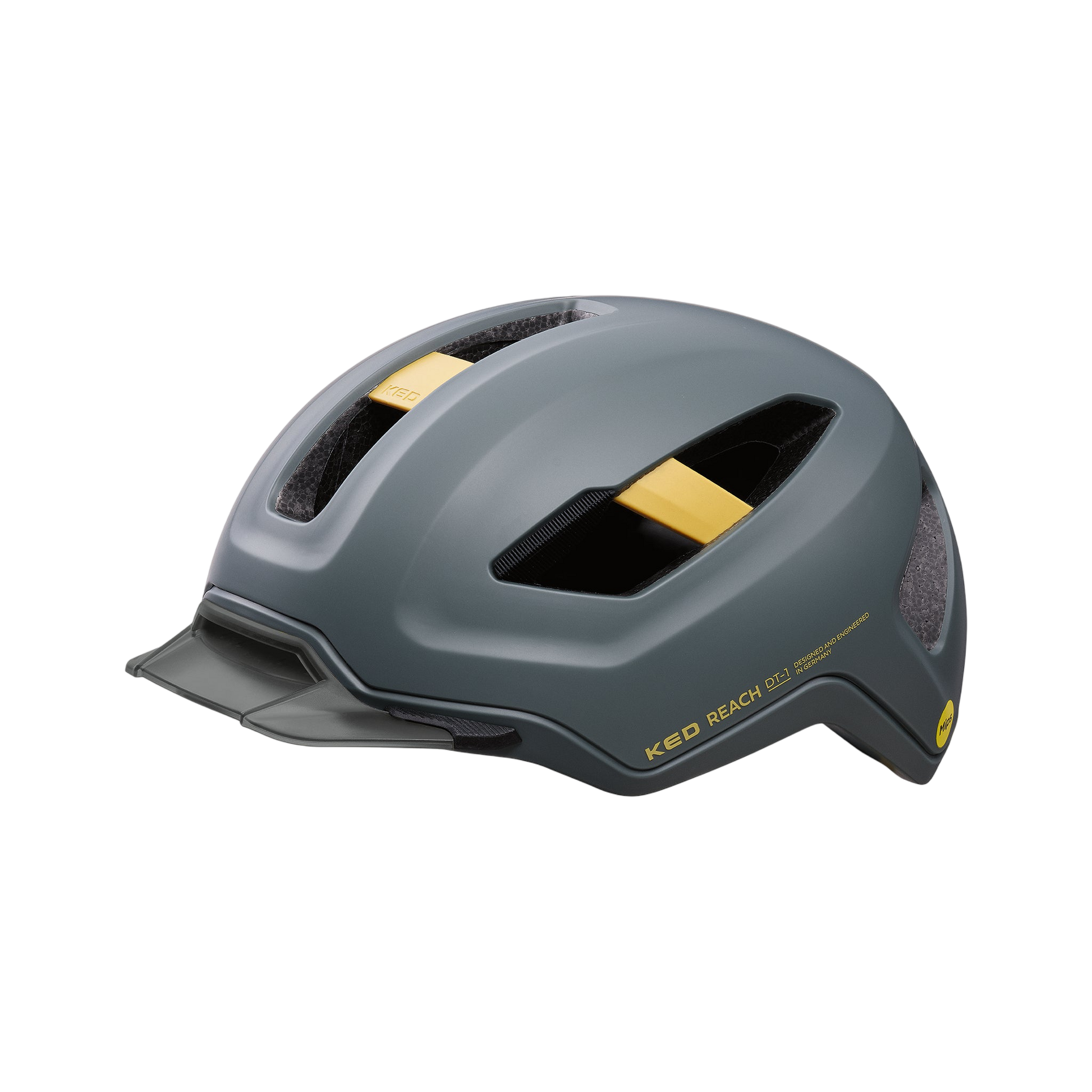 REACH DT1 - grey golden yellow