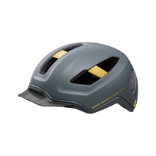 REACH DT1 - grey golden yellow