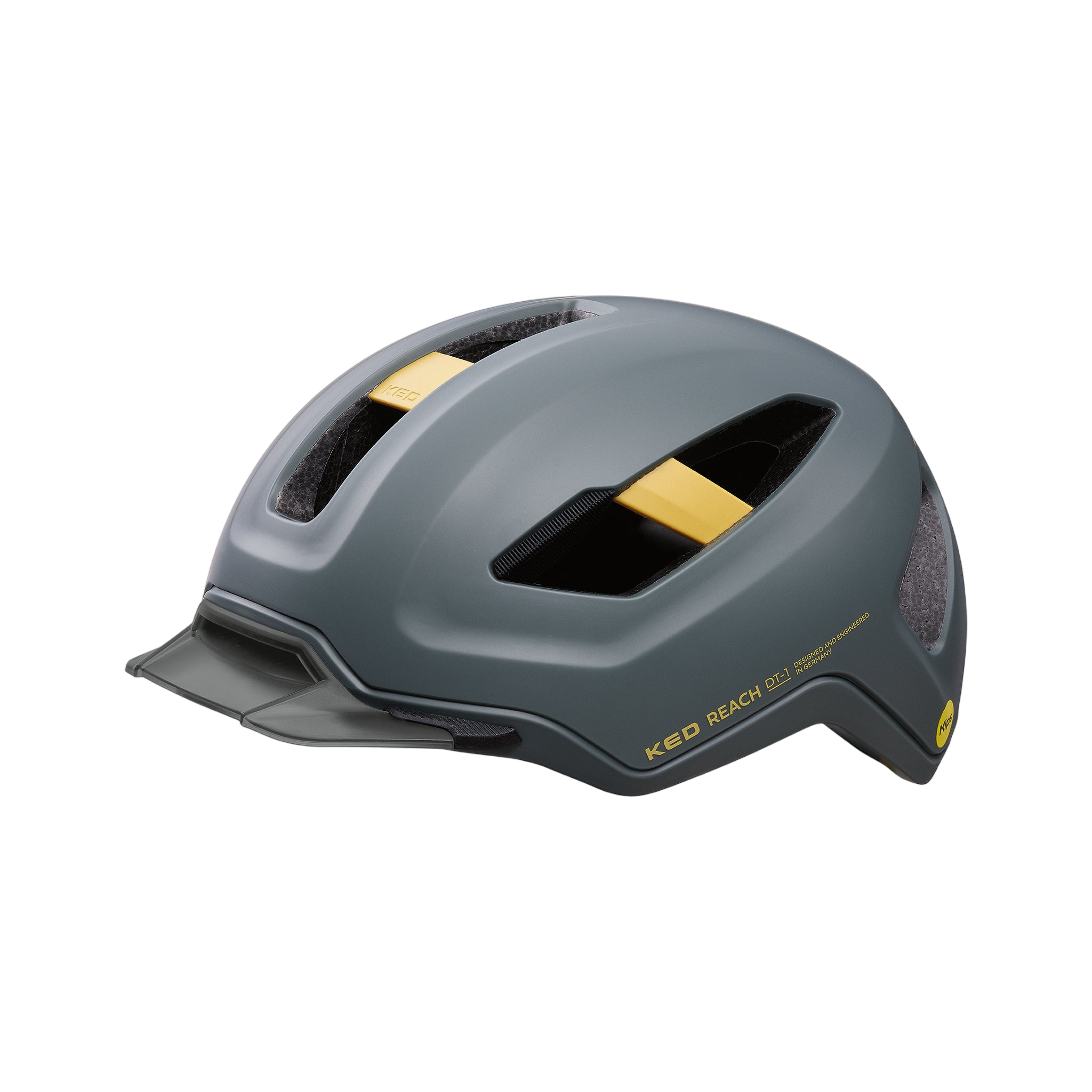 REACH DT1 - grey golden yellow