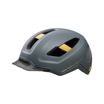 REACH DT1 - grey golden yellow