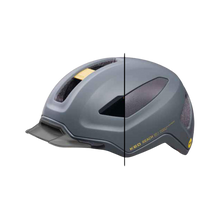 REACH DT1 - grey golden yellow