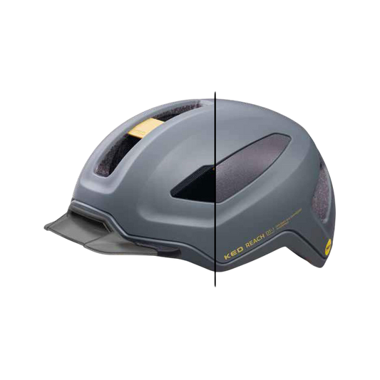 REACH DT1 - grey golden yellow